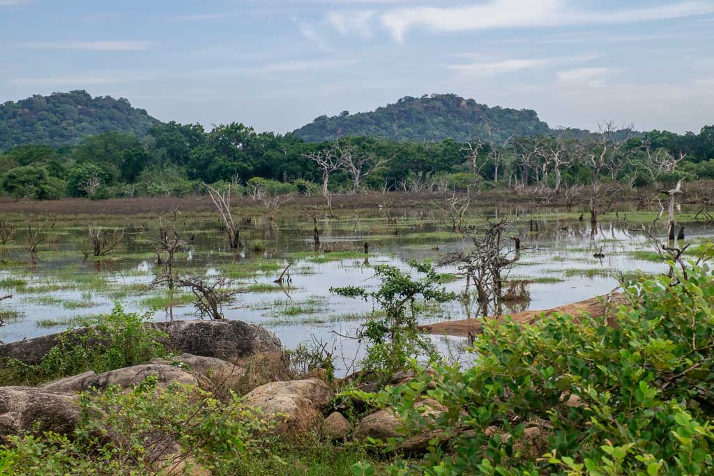 Yala National Park Sri Lanka