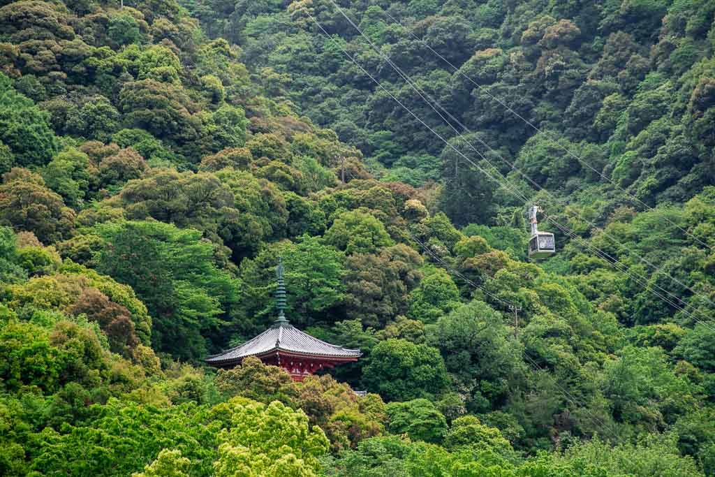 things to do in Gifu City Travel Guide
