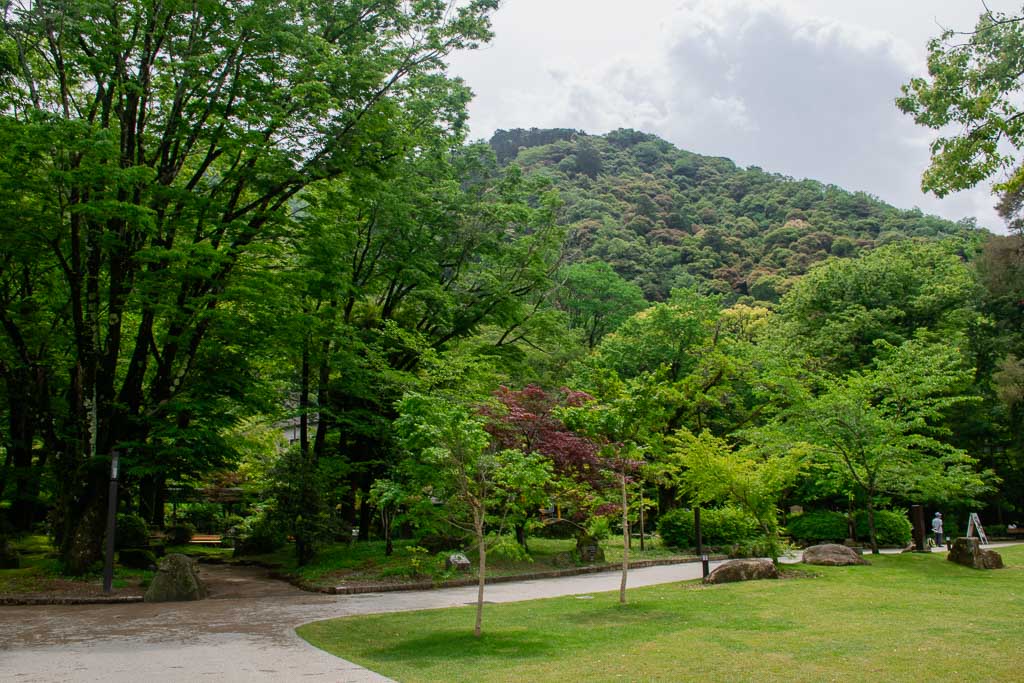 green parkland in Japan