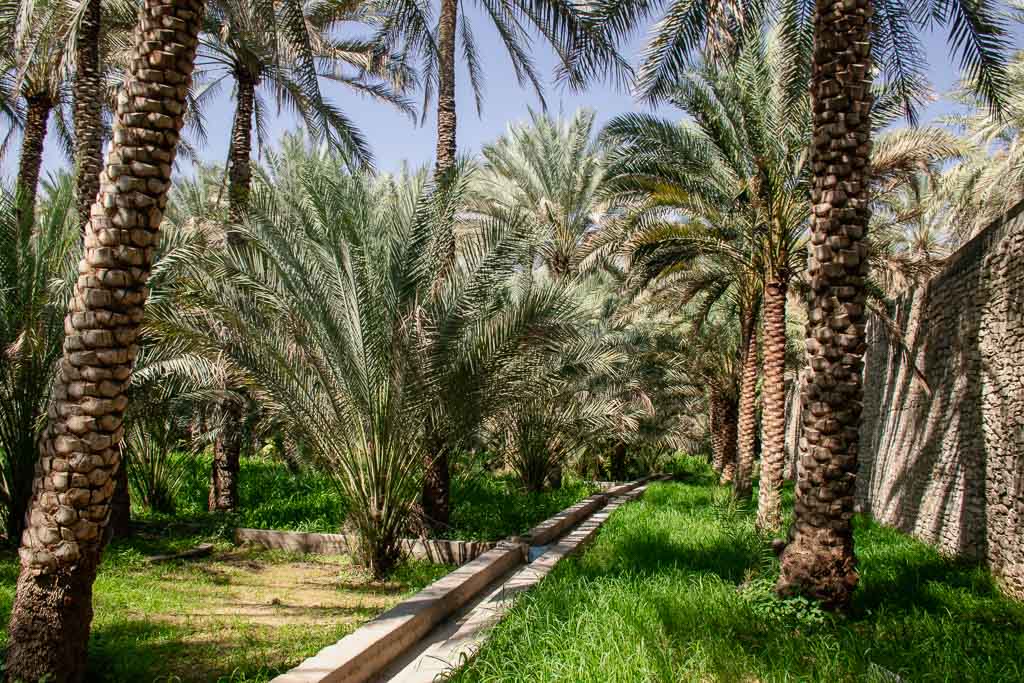 Birkat Al Mouz Oman