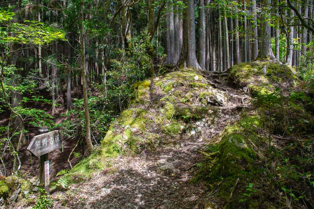 How to walk the Kumano Kodo solo