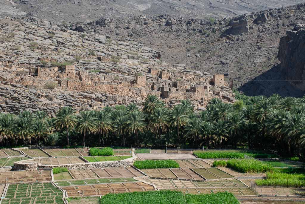 Al Duwaheer Old Village